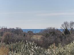 Holiday Home in Novigrad With Private Pool