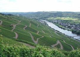 Vineyard View Romantic Stay