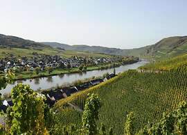 Apartment in the Moselle Region