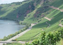 Vineyard View Romantic Stay