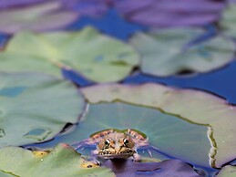 Luxurious Villa in Monchique With Private Pool