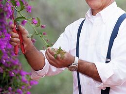 Luxurious Villa in Monchique With Private Pool