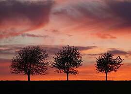 Comfort & Nature in Dankerode