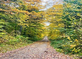 Comfort & Nature in Dankerode
