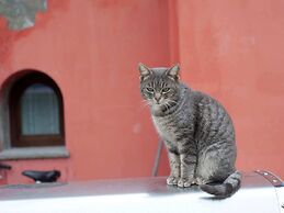 Belvilla by OYO Appartamento Yassine