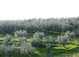 Belvilla by OYO Leonardo