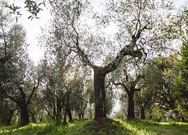 Belvilla by OYO Leonardo