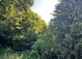 Family Getaway in Dankerode