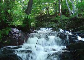 Family Getaway in Dankerode