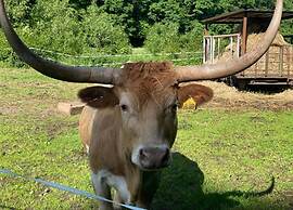 Family Getaway in Dankerode