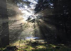 Family Getaway in Dankerode