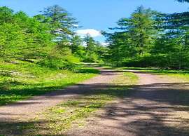 Family Getaway in Dankerode