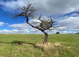 Family Getaway in Dankerode