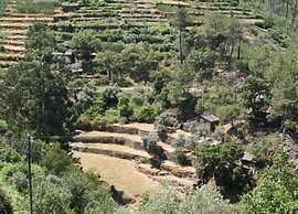 Holiday Home in Covas Near Serra da Estrela