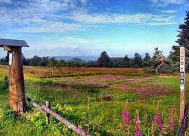 Cosy Apartment Over Usseln With Private Terrace