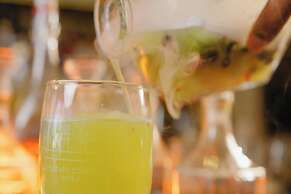 Alaia Belize, Autograph Collection