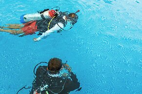 Alaia Belize, Autograph Collection