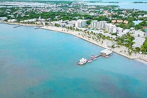 Alaia Belize, Autograph Collection