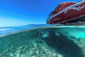 Alaia Belize, Autograph Collection