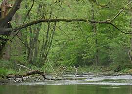Serene Apartment in Meschede With Balcony