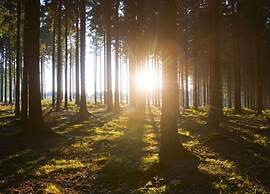 Serene Apartment in Meschede With Balcony