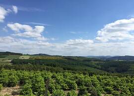 Serene Apartment in Meschede With Balcony
