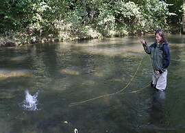 Serene Apartment in Meschede With Balcony