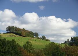 Serene Apartment in Meschede With Balcony