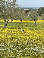 Holiday Home in Montemor-o-novo With Pool