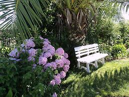 Holiday Home in Montemor-o-novo With Pool