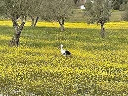 Holiday Home in Montemor-o-novo With Pool