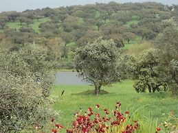 Holiday Home in Montemor-o-novo With Pool