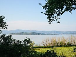 Cozy Farmhouse With Pool