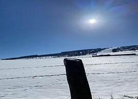 Modern Apartment in Willingen Near Ski Lift