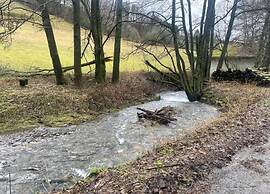 Modern Apartment in Willingen Near Ski Lift