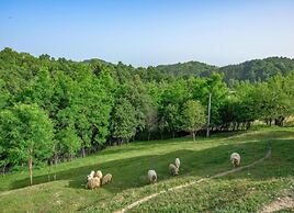 Spacious Apartment in Pazin With Pool