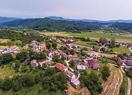 Spacious Apartment in Pazin With Pool