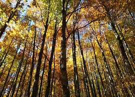 Belvilla by Oyo Cipresso