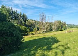 Marsberg Nature Nest