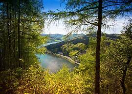 Marsberg Nature Nest