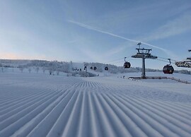 Marsberg Nature Nest