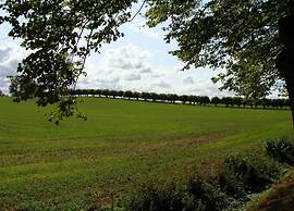 Stilvolle Wohnung mit Garten in Kluetz