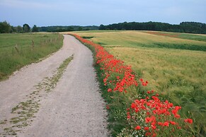 Stilvolle Wohnung mit Garten in Kluetz