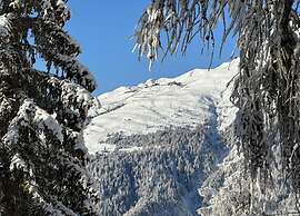 Family Stay in Aletsch Alps