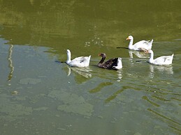 in the Center of Sicily
