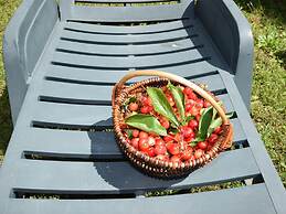 Lovable Apartment, Pool With Deckchairs, Fenced Garden With Grill, Wif