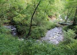 Jalhay Pondside Forest Home