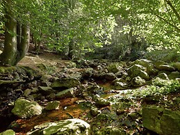 Jalhay Pondside Forest Home