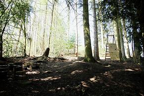 Spacious Pet-friendly Castle in Stavelot