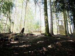 Spacious Pet-friendly Castle in Stavelot